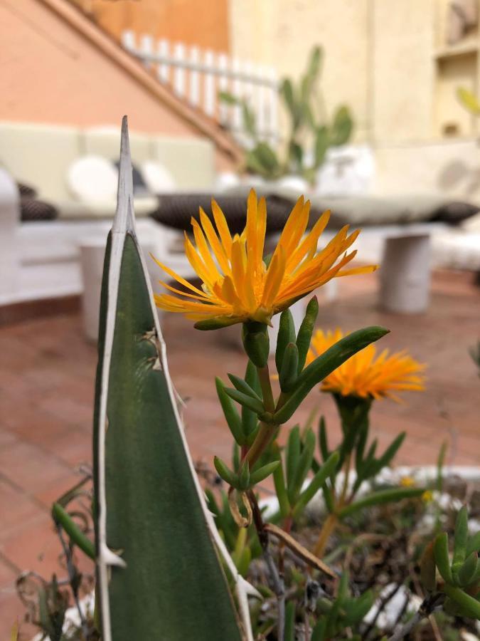 Navona Sunshine Big Terrace Apartment Rome Exterior photo